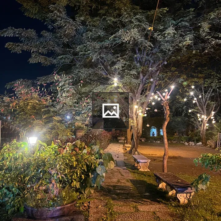 Garden path at night with lights