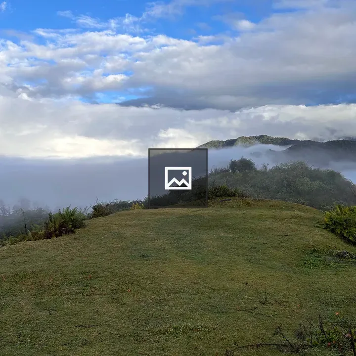 Hillside Landscape with Mist