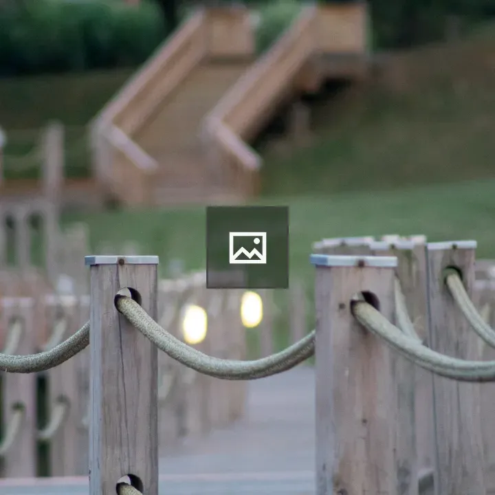 Roped wooden walkway by lake