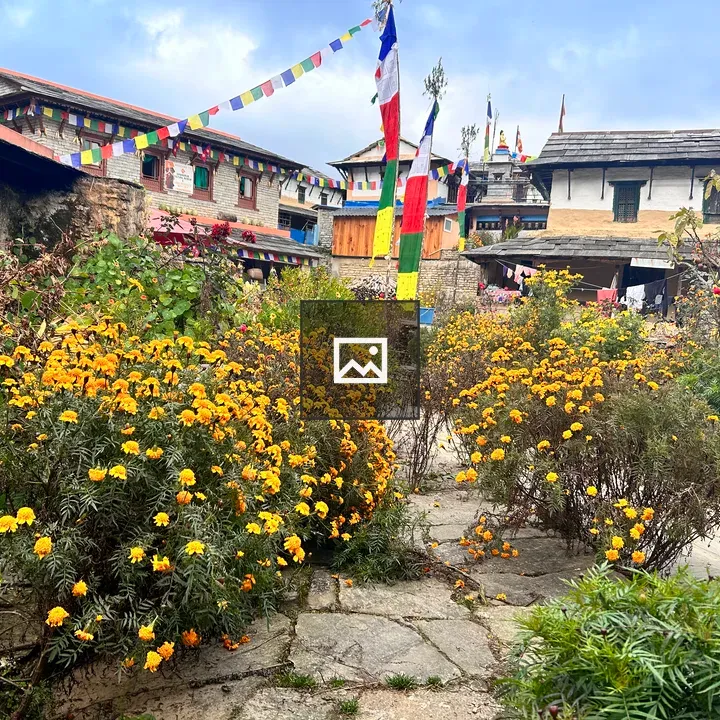 Homestay in Ghandruk with Marigolds