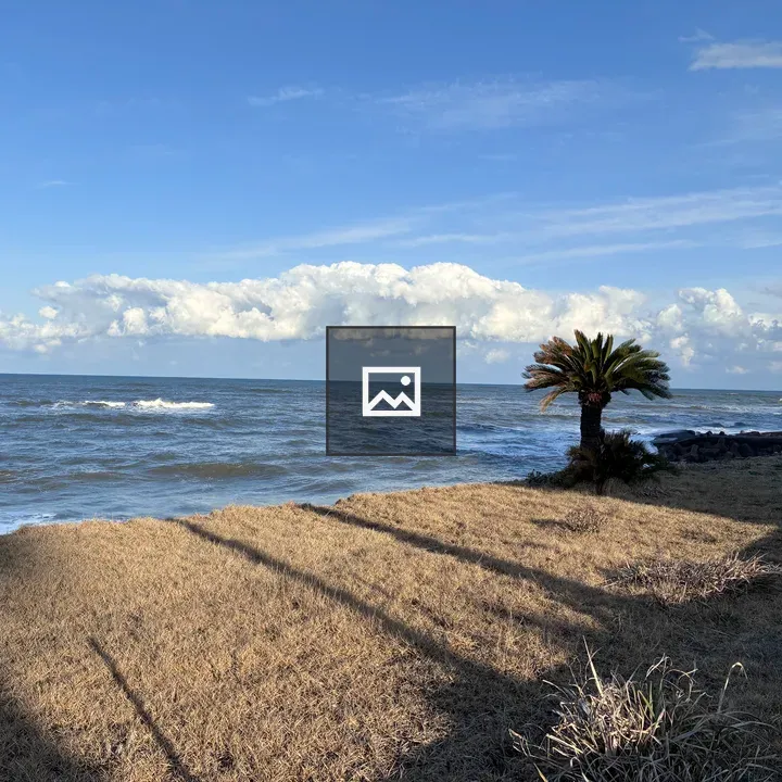 Coastal scene with sandy foreground