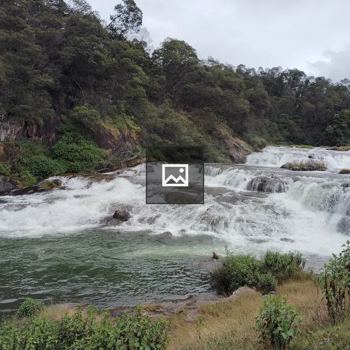 River over rocks in forest