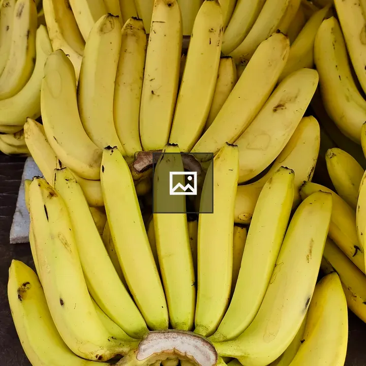 Bananas for Sale in Mumbai Market