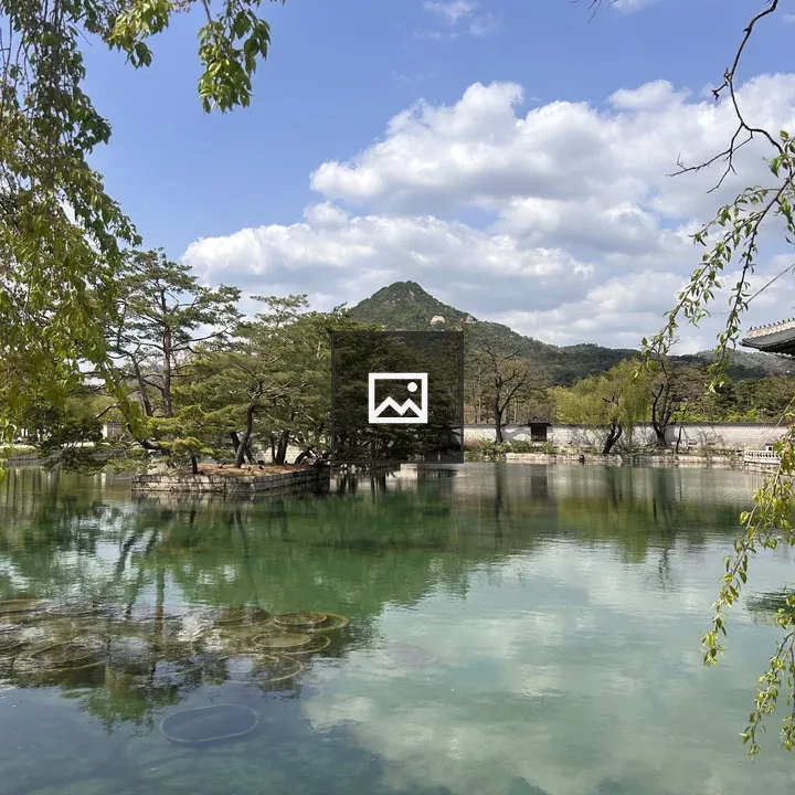 Serene pond landscape