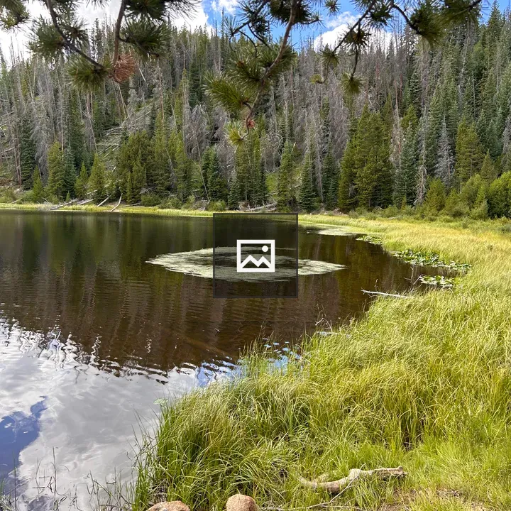 Small lake with circular grass formation