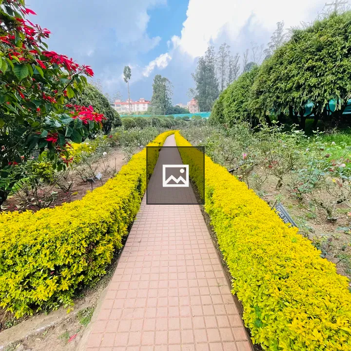 Scenic botanical garden path