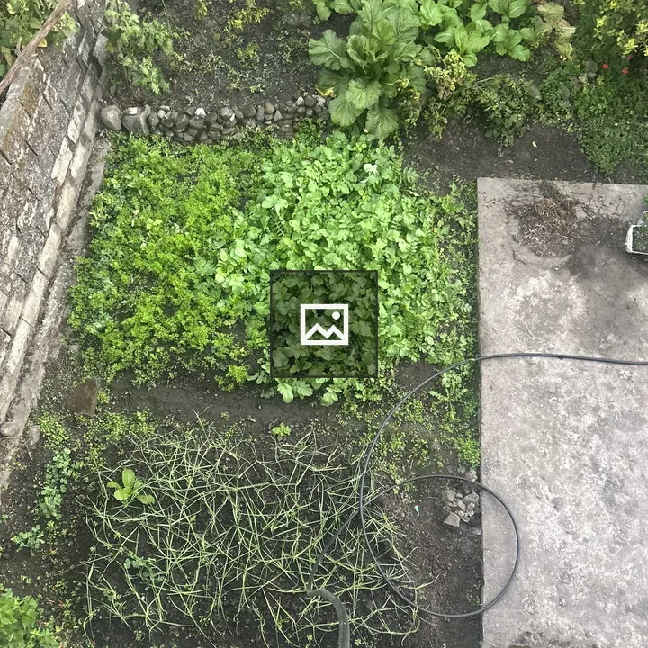 Tiny-scale cultivation of vegetables