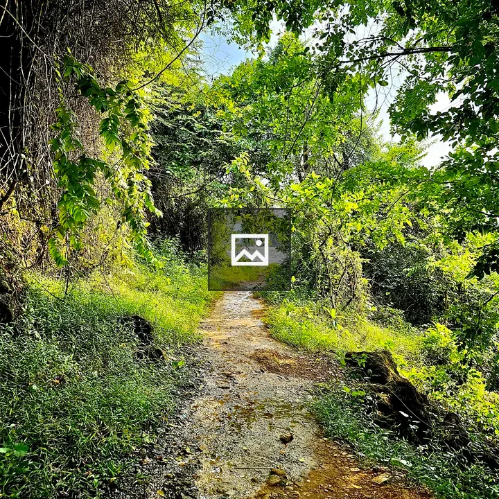 Walking path near Chaliyar River