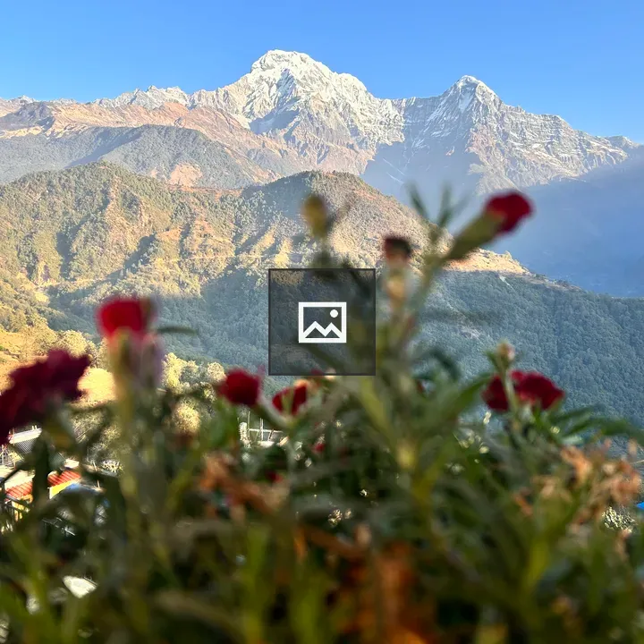 Annapurna Range with Blossoms