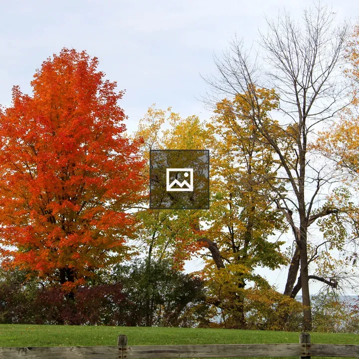 Lake Ontario Landscape Rochester