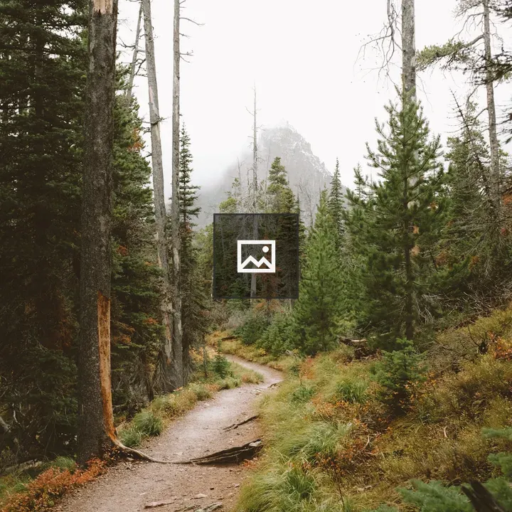 Hiking trail through fall forest
