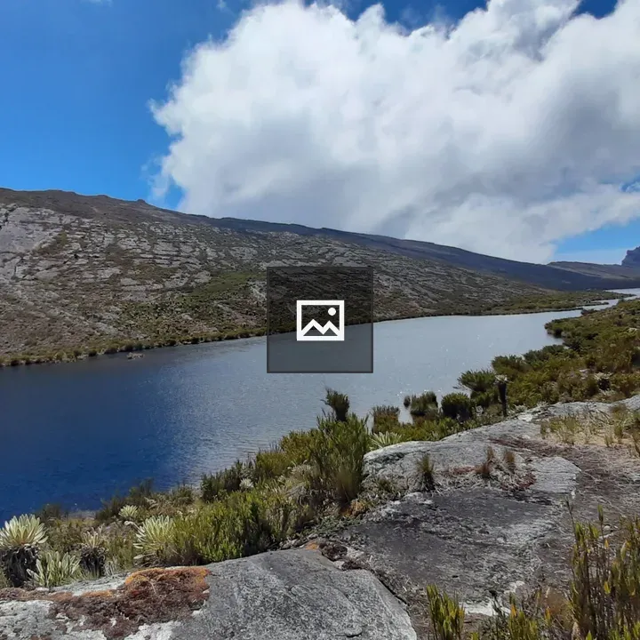Lagoon edged with páramo vegetation