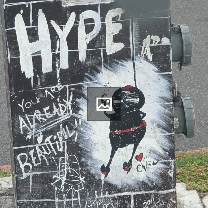 Graffiti on electrical box