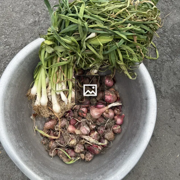 Metal bowl with green onions and shallots