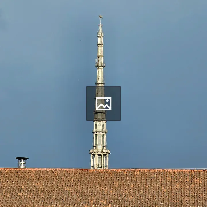 Spire of Mole Antonelliana above tiled roof