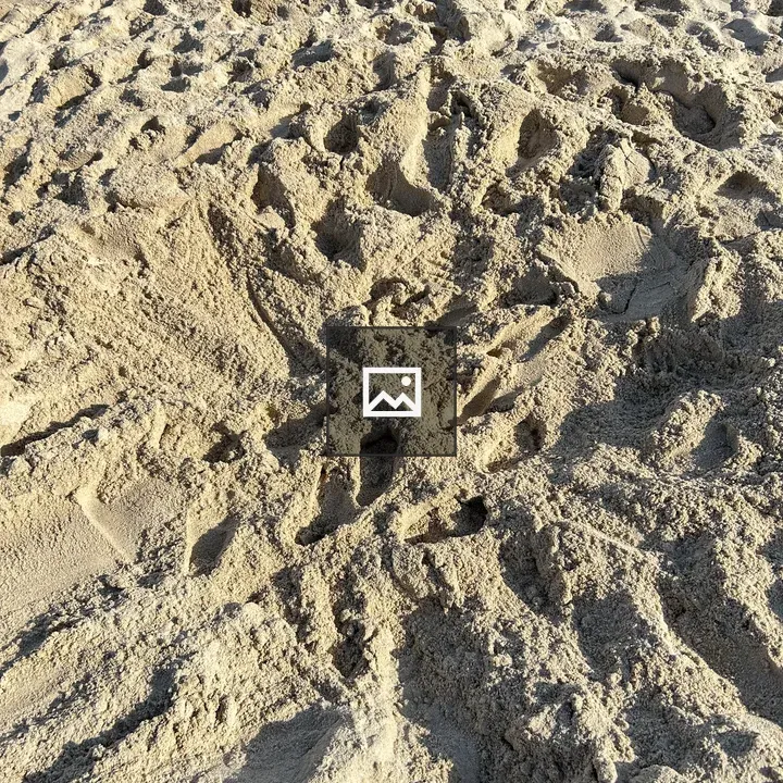 Close-up Sandy Surface with Footprints