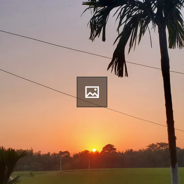 Tree and Field at Sunset
