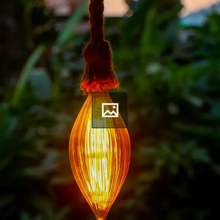 Vintage light bulb and rope