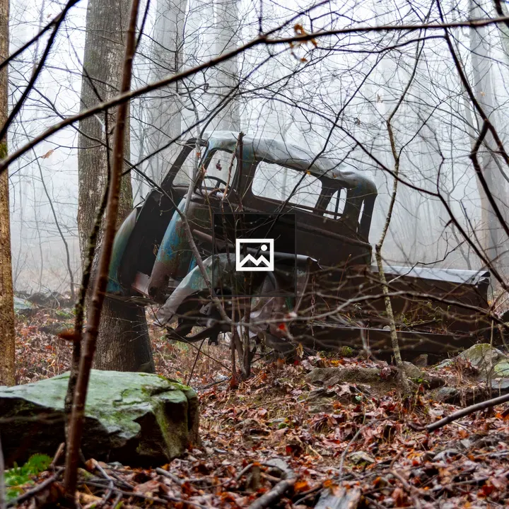 Abandoned pickup truck in forest