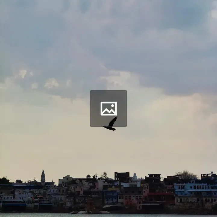 Pigeon over water and colorful buildings