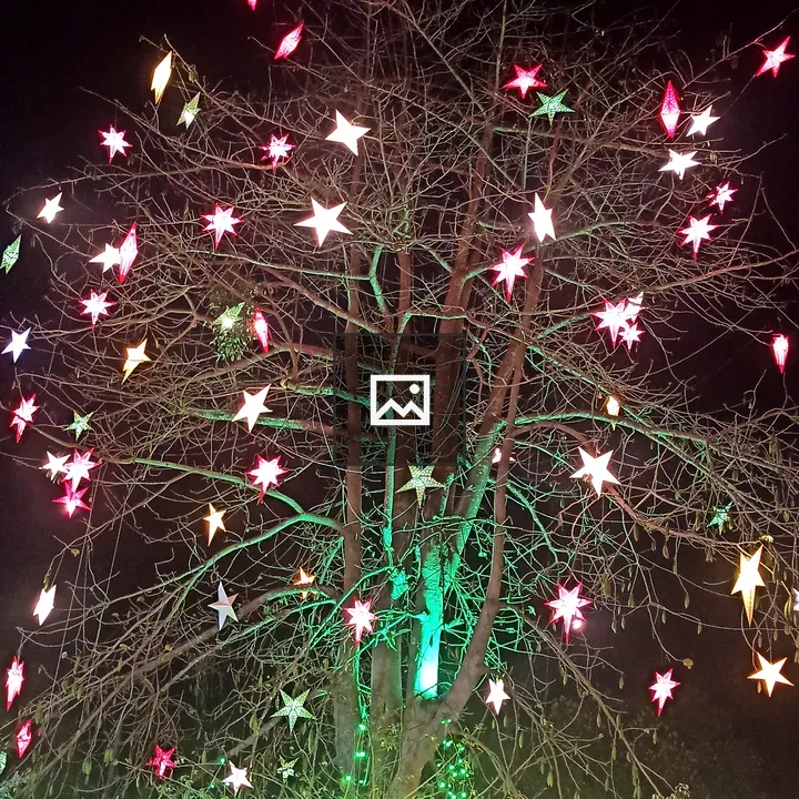 Christmas stars on tree