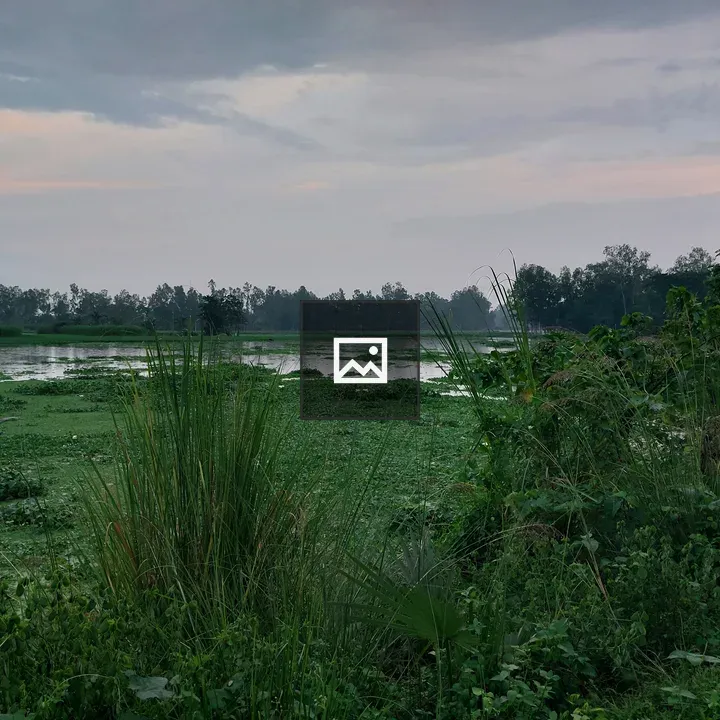 Nature scene with grass and water