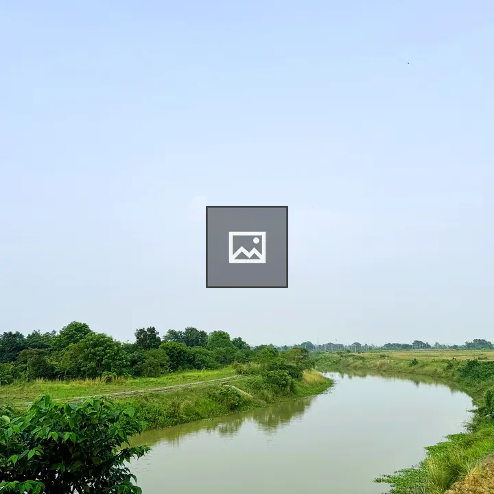 River amid lush greenery