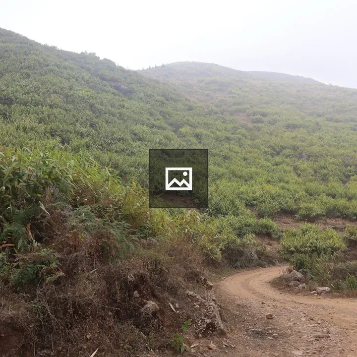 Winding Path Through Green Hills