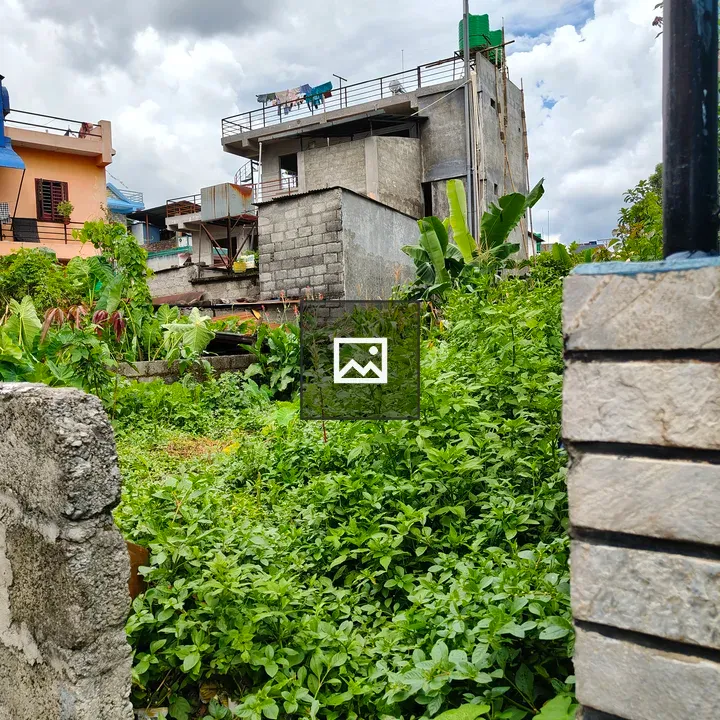 Cluttered urban landscape with vegetation