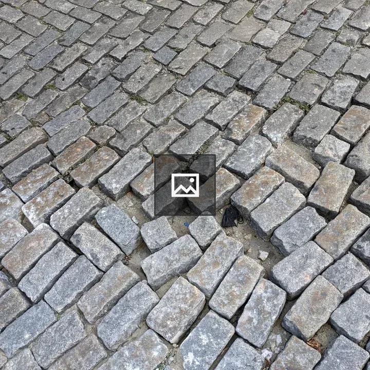 Cobblestone Street Gaps