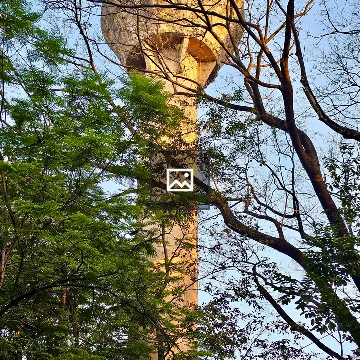Water tank seen through branches