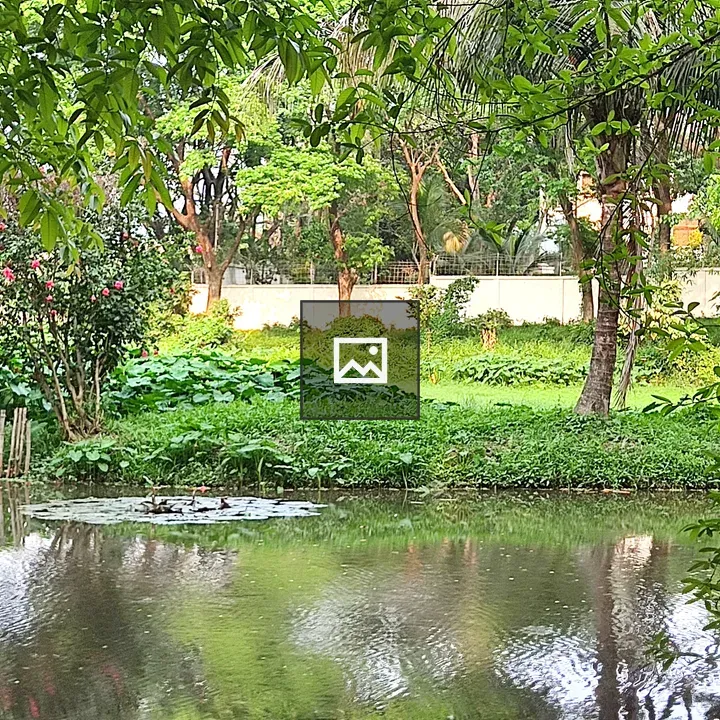 Peaceful Nature Scene with Lake