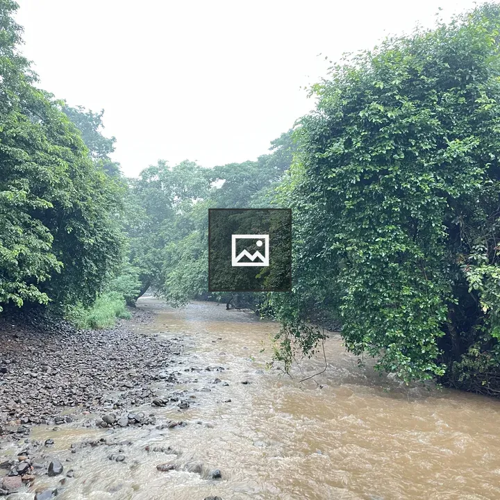 River Scene with Trees