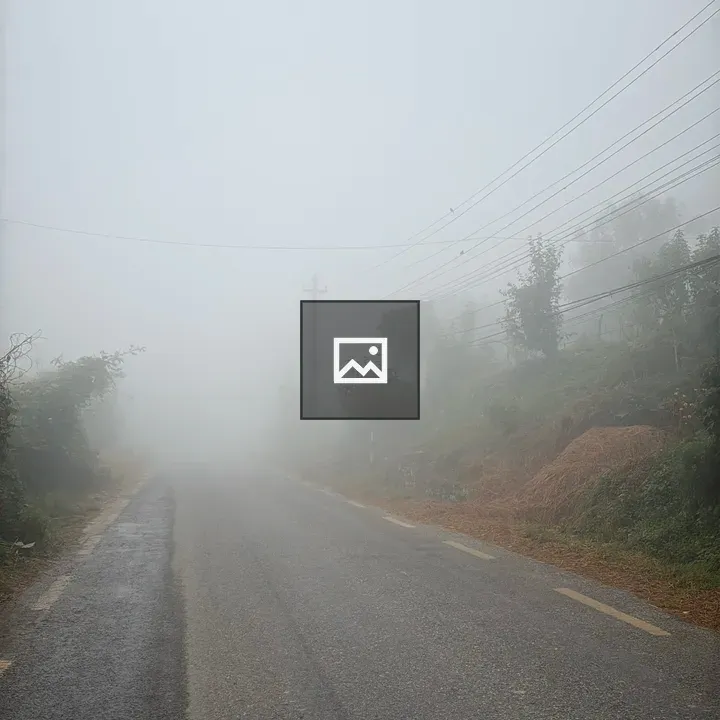 Foggy road at dawn