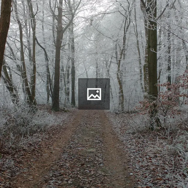 Snowy path in the woods