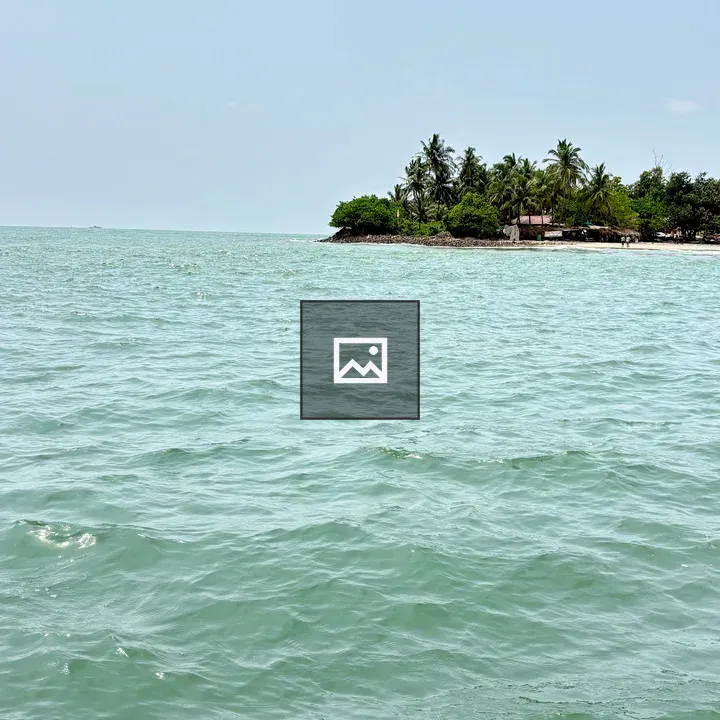 Coastal scene with palm island