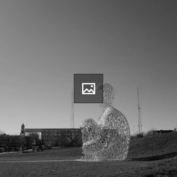 Statue in a Field