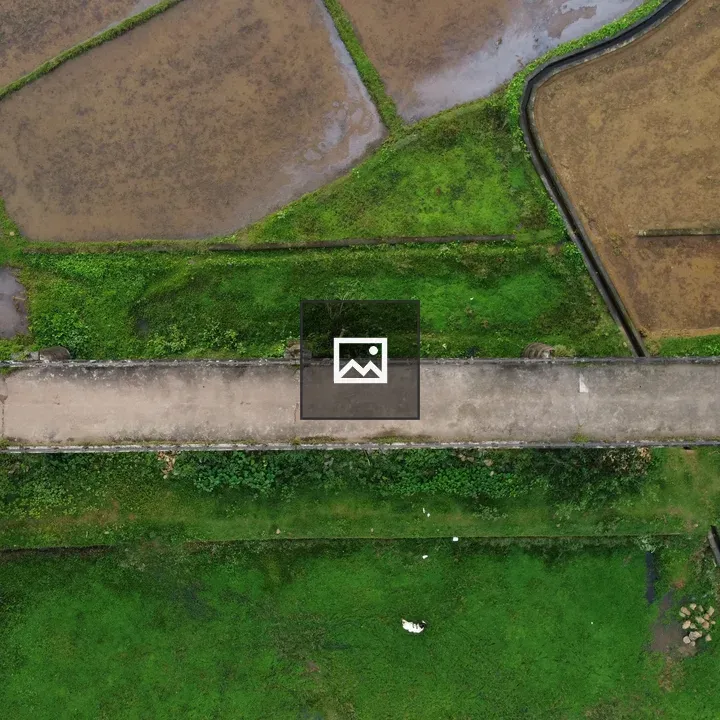 Drone view of bridge and paddy fields