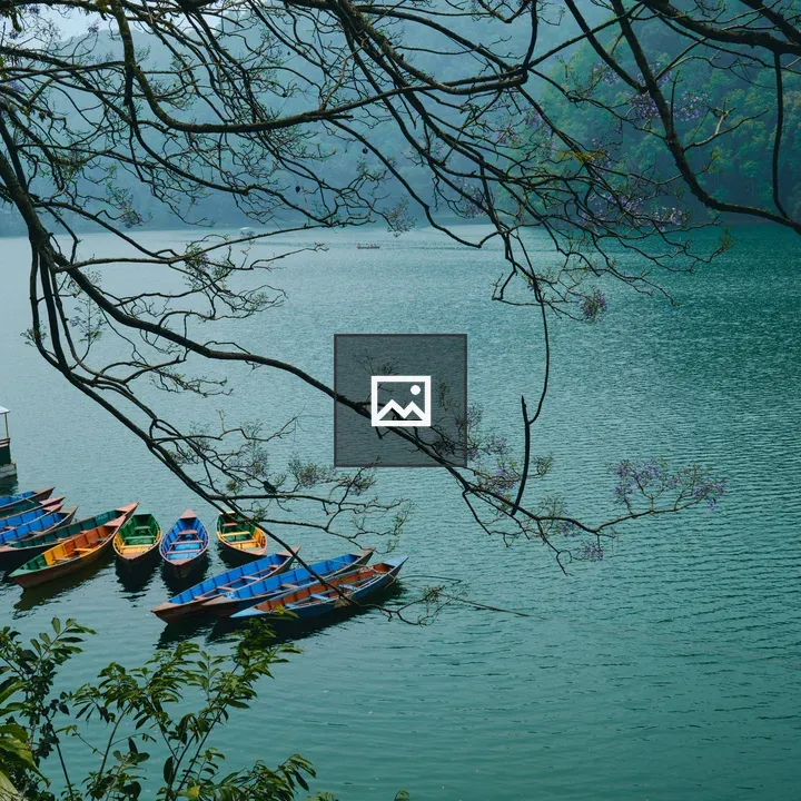 Phewa Lake Boats at Shore