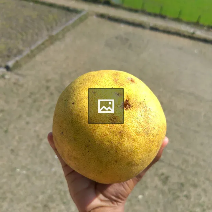 Person with large yellow pomelo