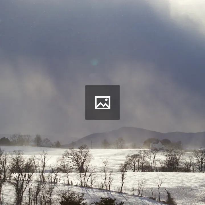 Snow squalls over field and trees