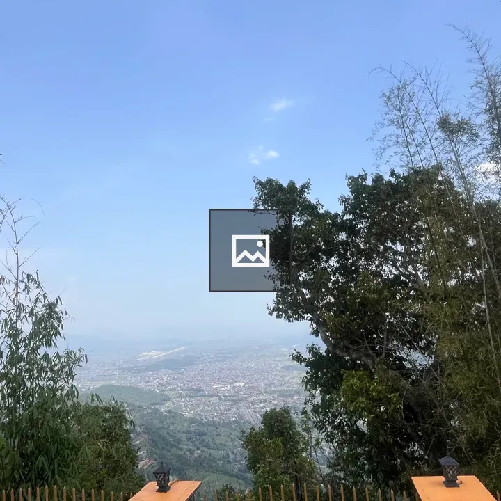 City View from a Forested hillside