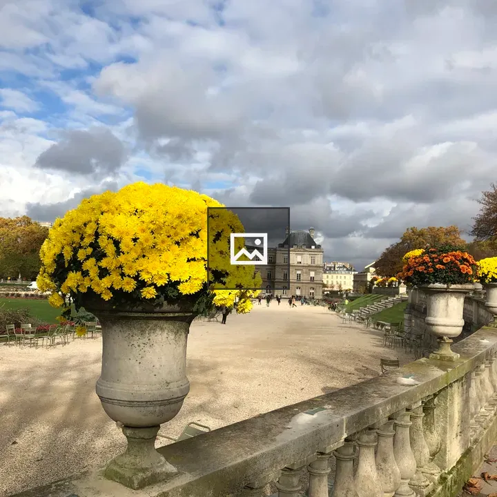 Flower Pot at Jardin du Luxembourg