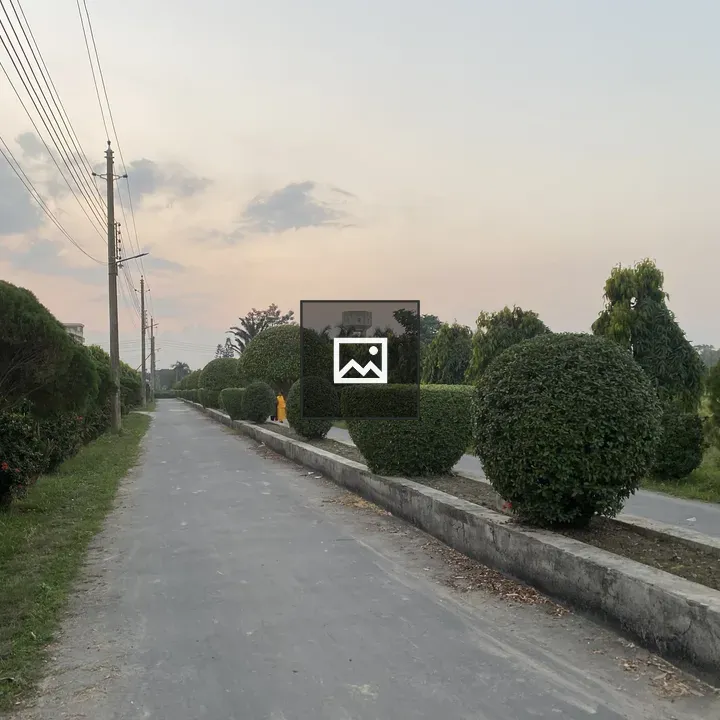 Narrow Path with Bushes and Trees
