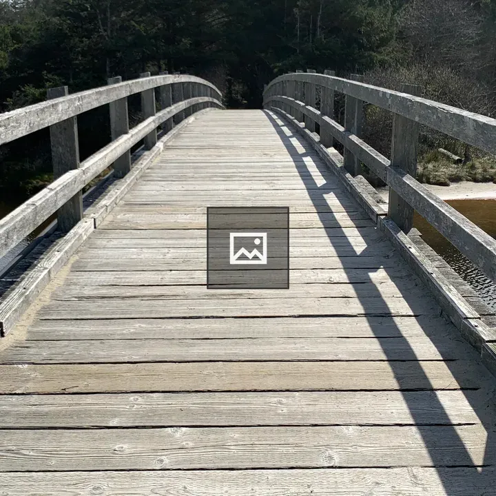 Path Over Wooden Bridge