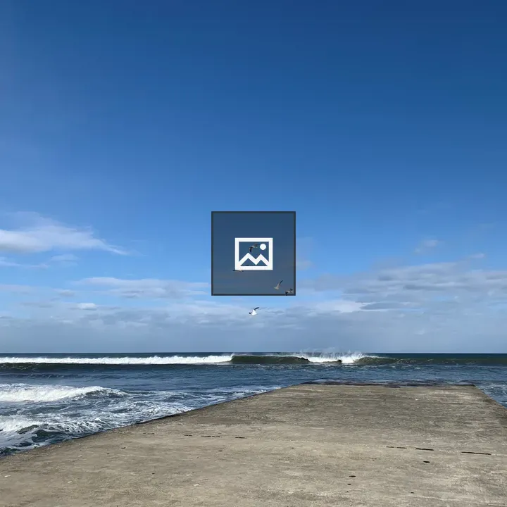 Seagull in Flight at Furudokoro Beach