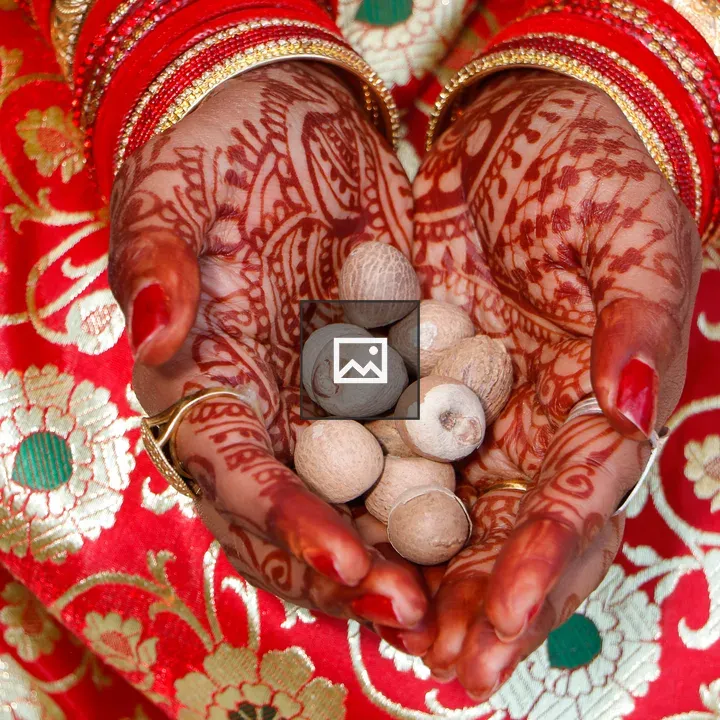 Mehendi Bride Hands