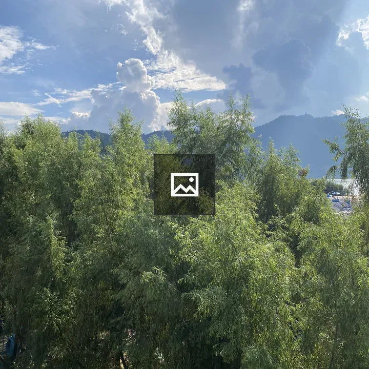 Green landscape with trees and mountains