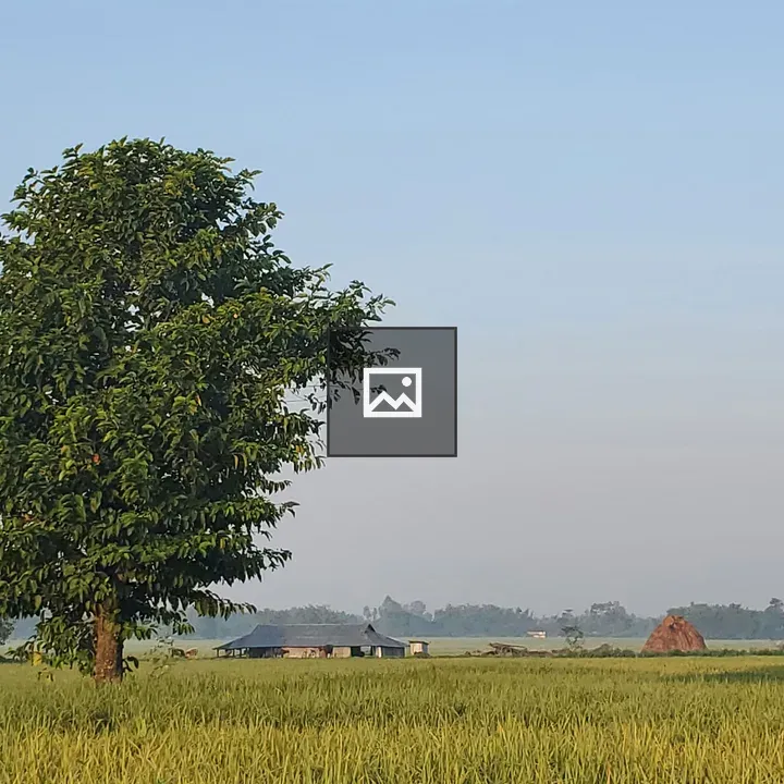 Solitary tree in green landscape