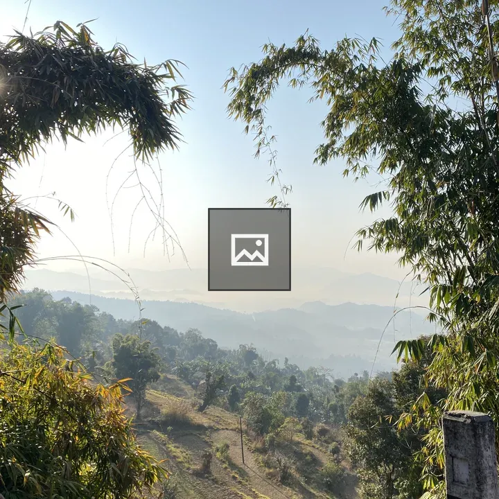 Two Bamboo Trees Meet in Landscape